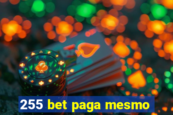 255 bet paga mesmo